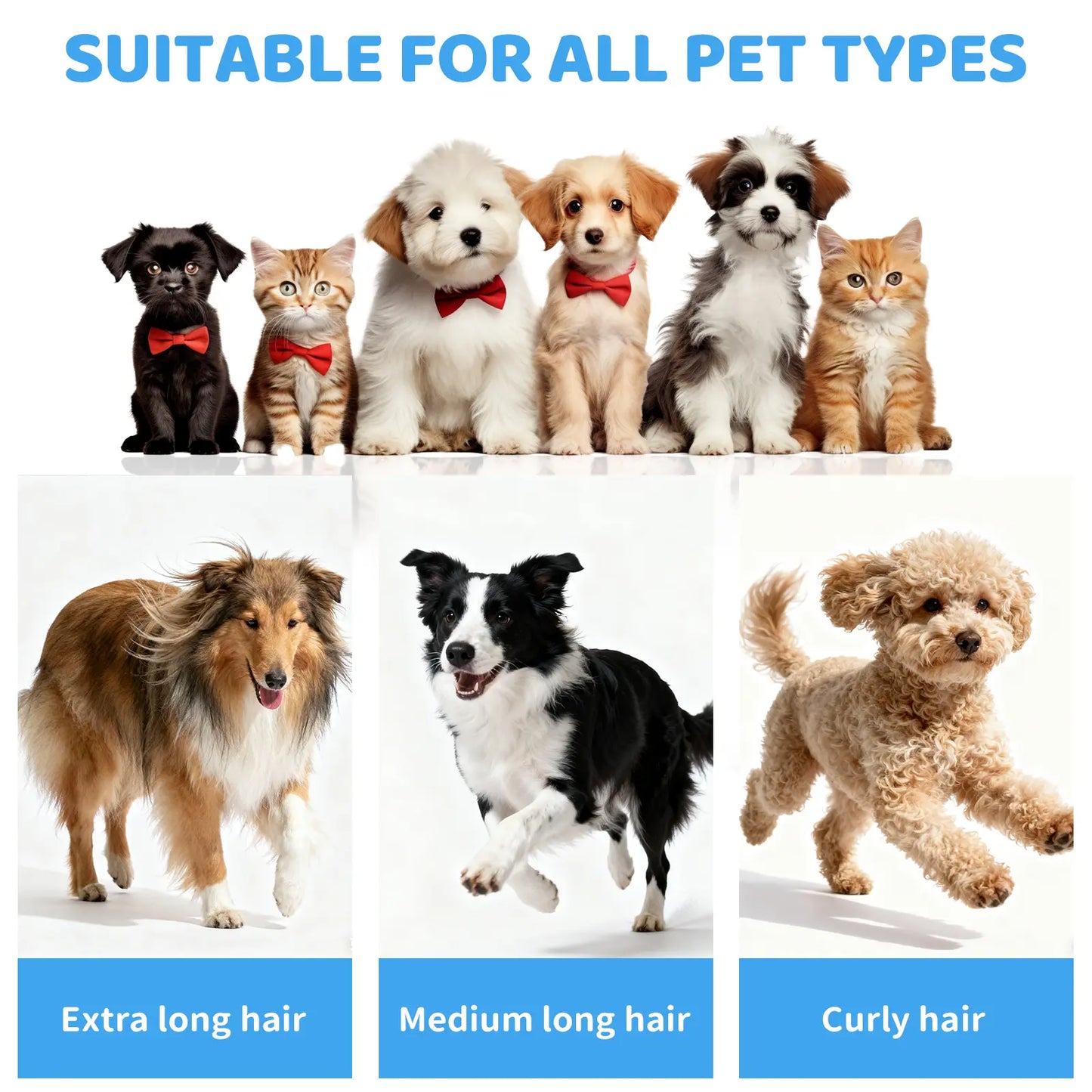 Pawimood 5-In-1 Pet Grooming Vacuum for Shedding Grooming, 13000PA Strong Suction Dog Grooming Kit with 2L Dust Cup, Professional Hair Removal and Home Cleaning Tool Tiktokshopspringglowup