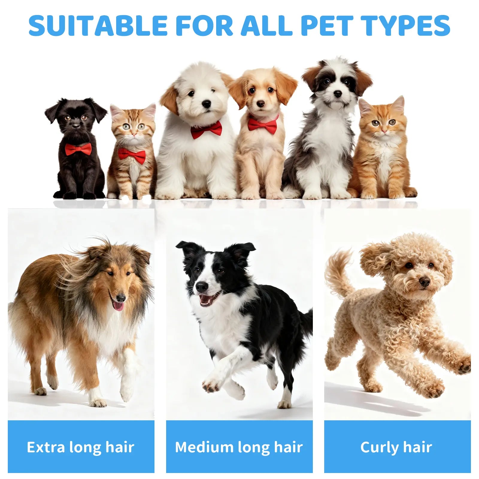 Pawimood 5-In-1 Pet Grooming Vacuum for Shedding Grooming, 13000PA Strong Suction Dog Grooming Kit with 2L Dust Cup, Professional Hair Removal and Home Cleaning Tool Tiktokshopspringglowup