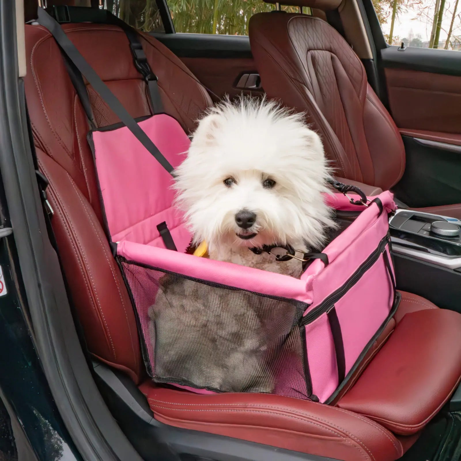 Pet Car Seat – Foldable Travel Safety Booster for Cats & Dogs | Breathable & Easy to Clean with Large Space | Fits Front & Back Seats, Easy to Assemble